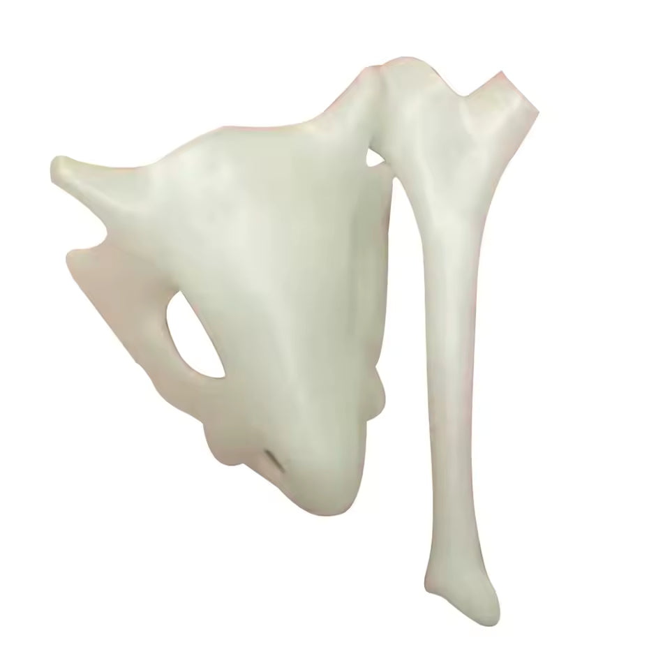 Cubone Skull Hair Accessory