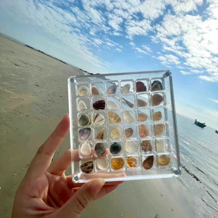 🌊 HOT SALE-Sea Shell Display Case